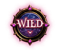 魔法陣 Wild
